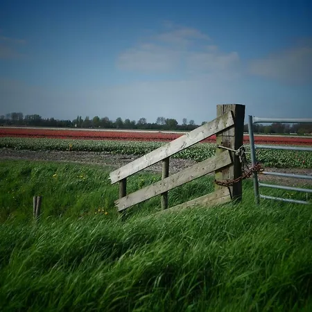 Dom wakacyjny Molenzicht *