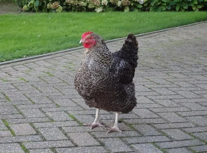 Сasa de vacaciones Molenzicht Sint Maarten