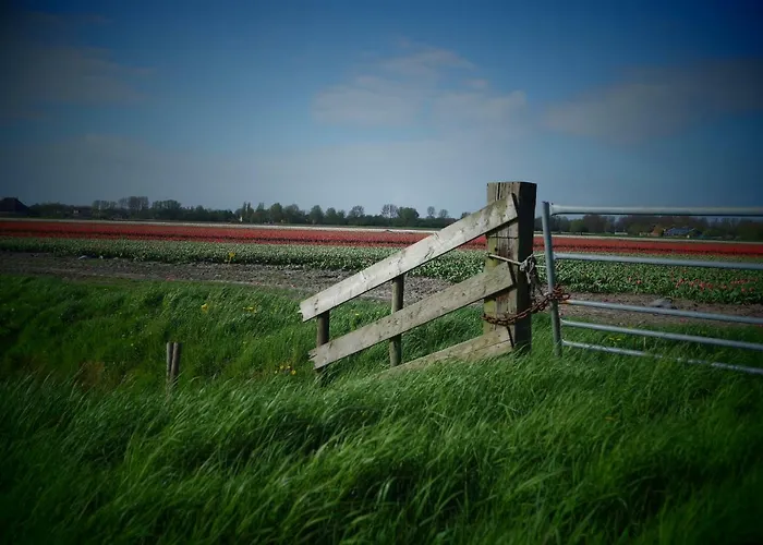 Vakantiehuis Molenzicht *