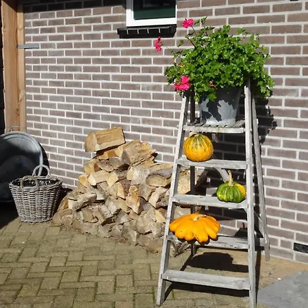Molenzicht *